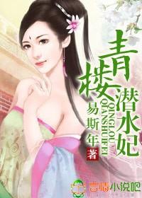 穿越之妃要当家