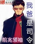 我爸是司令全集免费观看