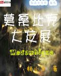 莫桑比克局势