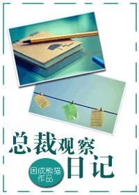 总裁观察日记 全文 番外
