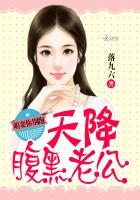 天降萌妻错惹腹黑boss