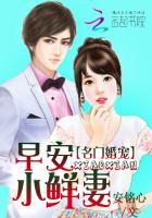 小鲜妻