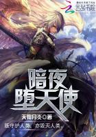 暗夜天使美剧