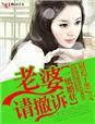 一纸婚约律师老婆难降