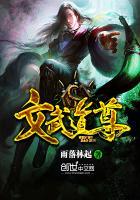 文武道尊 雨落林起