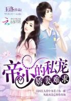 帝少的私宠甜妻免费全文私