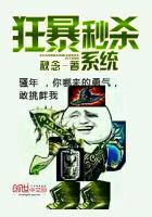 狂暴要急速还是暴击