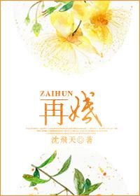 再婚是什么意思