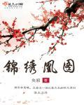 锦绣凤凰