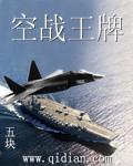 空战王牌 苏飞
