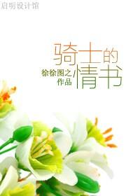 骑士的情书讲什么