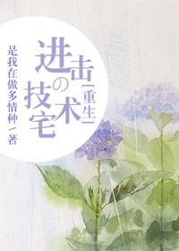 技术宅攻略无弹窗阅读