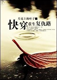 求快穿复仇高质量文