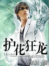 护花狂龙全文阅读(青狐妖)