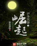 英雄崛起安卓汉化版