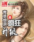 疯狂升级系统动漫在线播放