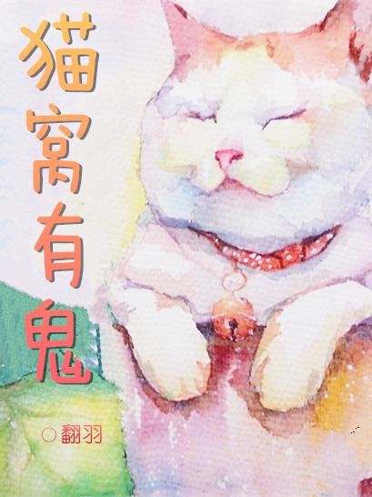 家里猫窝