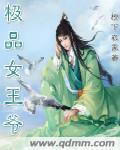 极品王妃txt