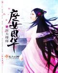 庶女风华惹祸精要退婚