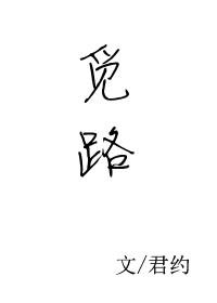觅路君约全文免费阅读