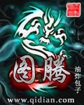 图腾公司