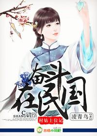 在民国奋斗的那些年