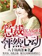 亿万总裁的隐婚妻无删减版