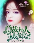 总裁大人太危险全文阅读