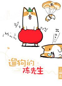 遛狗的陈先生by