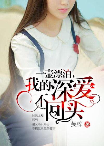 一壶漂泊意思