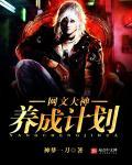 大神养成计划宝书网