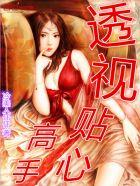 透视贴心高手第三部