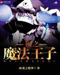 全能魔法王子