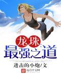 龙珠最强之道pdf
